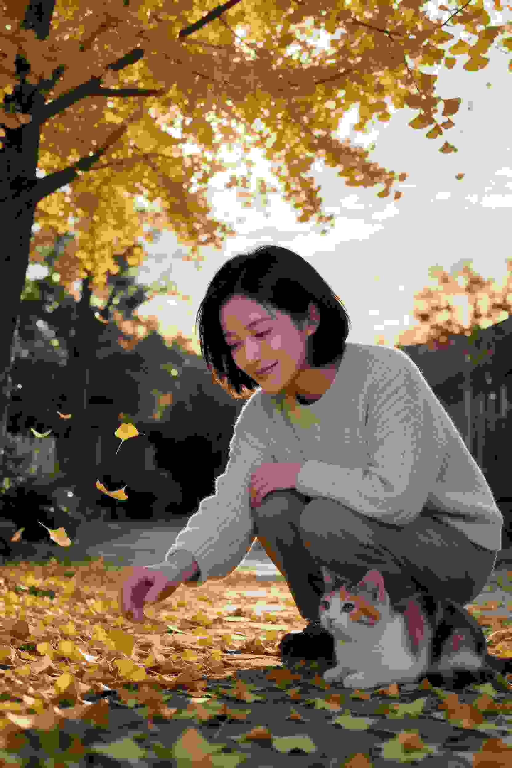 青春梦时代